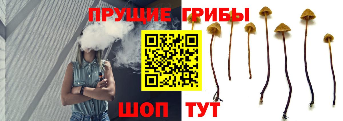 Галлюциногенные грибы GOLDEN TEACHER Ногинск